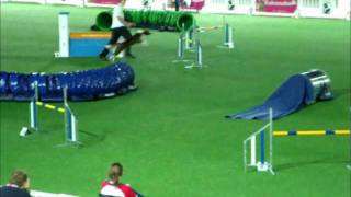 Ant and Ruby Large Team Jumping