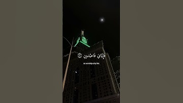 أكتب شئ تؤجر عليه❤|سورة العنكبوت|القارئ|#عبدالرحمن_مسعد|#القرآن_الكريم|#راحه_نفسيه