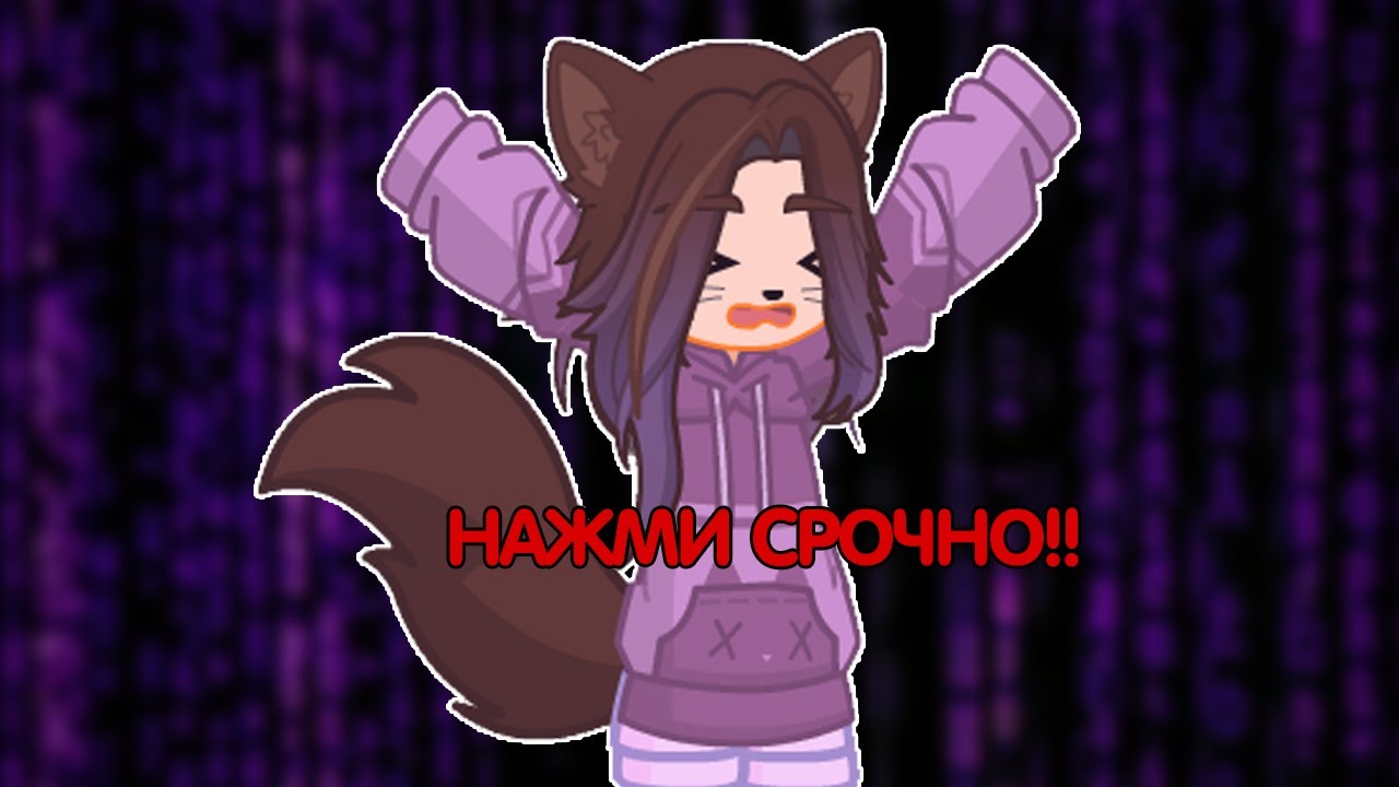 Реклама видео - YouTube