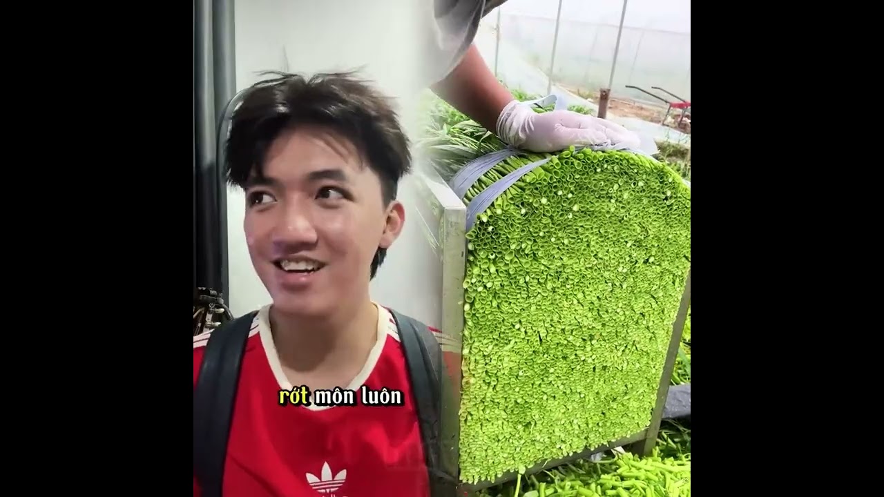 #funny #pov #skit #xyzbca #comedy#storytime #shorts