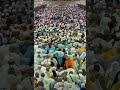 লাব্বাইক আল্লাহুম্মা লাব্বাইক।#allah #hajj #travel #nature #peace #viralvideo #video #viral #reels