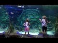 SEA LIFE Aquarium in Charlotte-Concord, NC