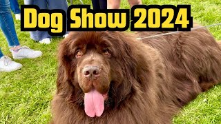 Dog Show May 2024 | Fun on a Sunday!!