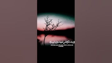 تلاوة خاشعه من سورة ق    هيثم الدخين