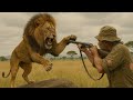 Amazing How Do American Hunters And Farmers Deal With Million Of Wild Boar And African Lion By Guns