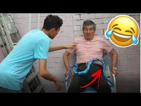 pranking-dr-king-kong-w/-fake-snake!!!