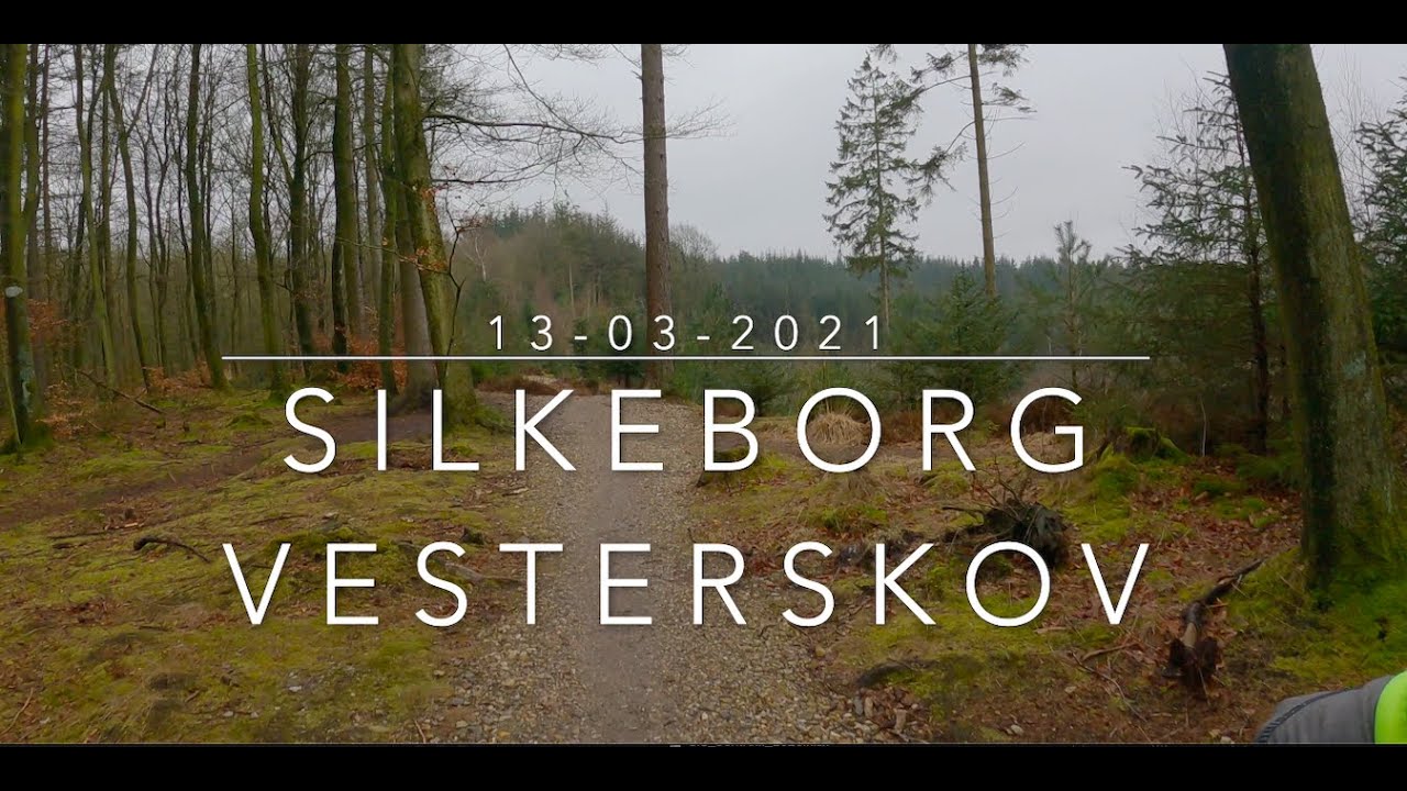 Silkeborg Vesterskov - 12-03-2021 Scott Genius 930 & Scott Spark 960