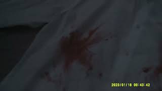 DSCF0036