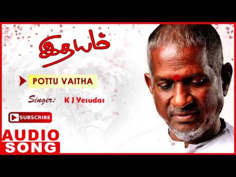 Idhayam Tamil Movie Songs | Pottu Vaitha Oru Full Song | Murali | Heera | Ilayaraja | Music Master
