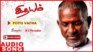 Miniatura de vídeo de "Idhayam Tamil Movie Songs | Pottu Vaitha Oru Full Song | Murali | Heera | Ilayaraja | Music Master"