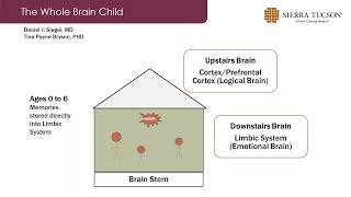Nourishment Webinar Upstairs Downstairs Brain Memory & Trauma