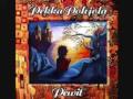 Pekka Pohjola: Toy rock