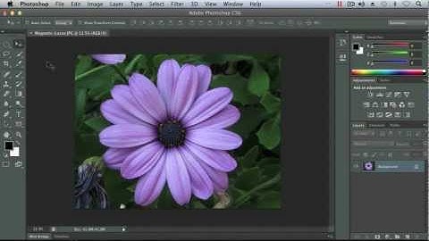 Working with the Lasso Tools - Adobe Photoshop CS6 Tutorial