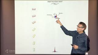 Detecting Object Boundaries in Natural Scenes Requires 'Incitatory' Cell-Cell Interactions