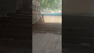 Nur Berak Di Sungai Air Pasang