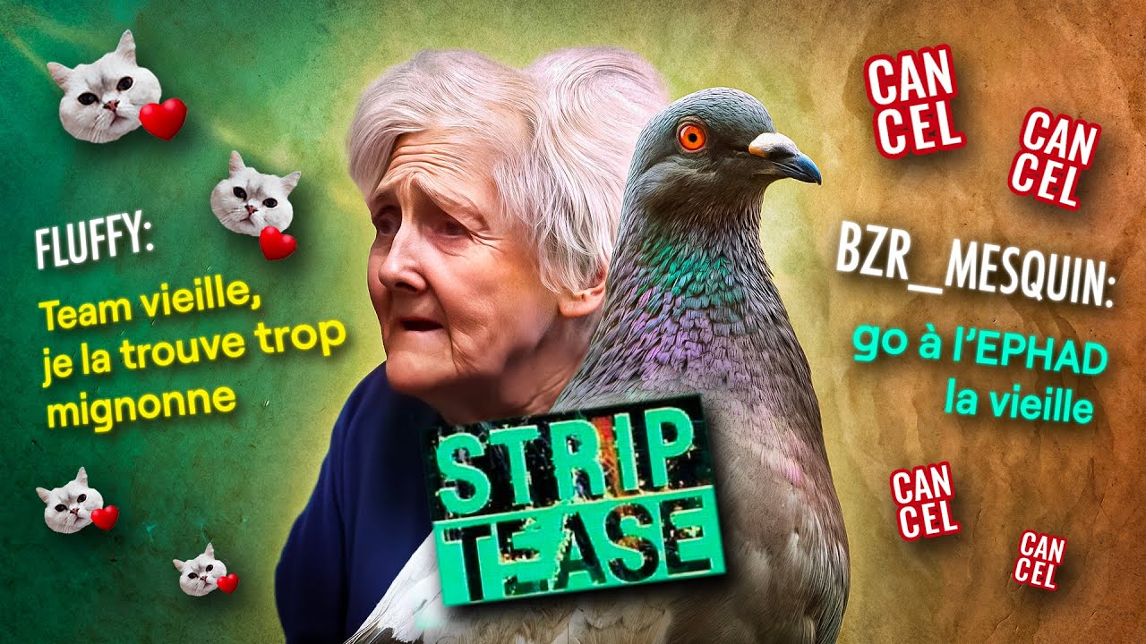 Le TCHAT défend la VIEILLE aux PIGEONS