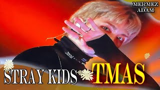 Stray Kids cute moments from TMAS and Music core - Stray Kids The Fact Music Awards 8-10-2022 - #skz