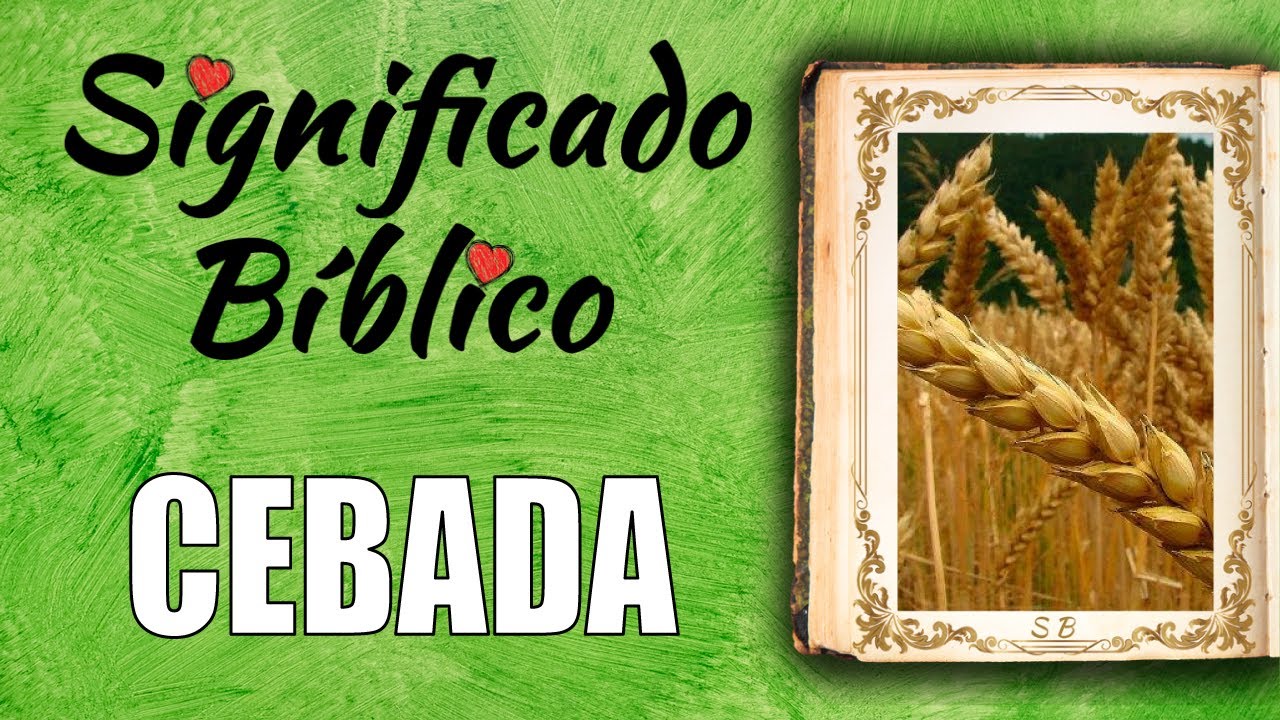 Cebada Significado Bíblico ¿Qué Significa Cebada en la Biblia? 🙏