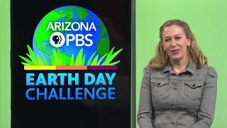 What are your favorite PBS programs?