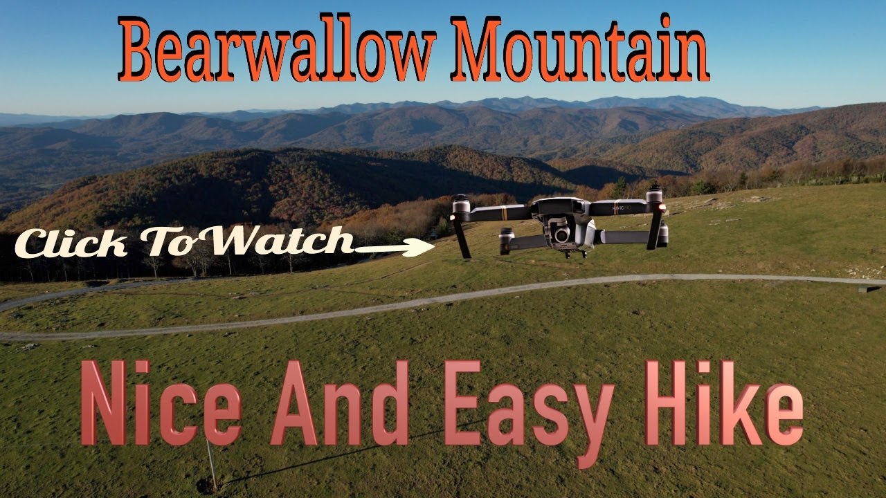 Bearwallow Mountain Trail In North Carolina In The Fall - Exploring South Of Asheville.