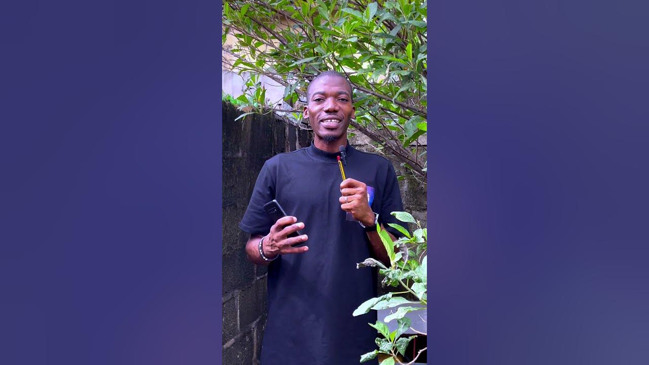 how-to-blur-background-on-whatsapp-videocall-shorts-whatsapp-youtube