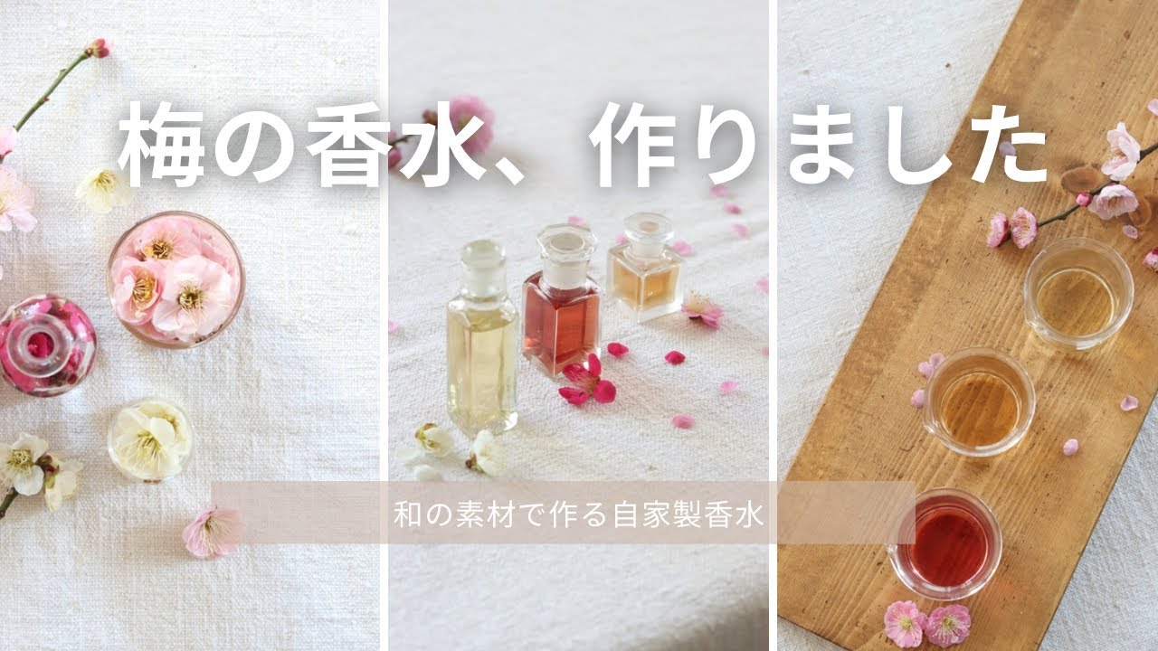 梅の香りは、こうして香水になる｜梅の花のアルコール抽出