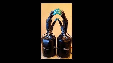 Shadow Dexterous Robot Hand Pyramid