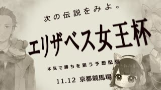 VtuberとYoutuberが本気でエリザベス女王杯を予想してみた