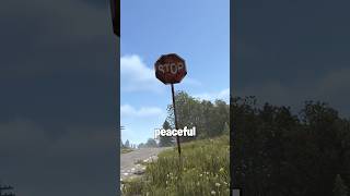 The road signs in the peaceful city have gone missing in rust  #rust #bestrust