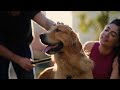 UA studies how–and how much— we talk to our pets