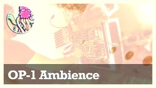 OP-1 Ambient Music Jam (w/ Eurorack & Buddha Machine 5) #TTNM