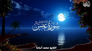 سورة عبس بنبرة جميلة وهادئة | القارئ محمد أسامة 💐