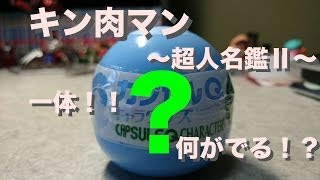 【開封】キン肉マン　海洋堂　超人名鑑Ⅱ　カプセルQ