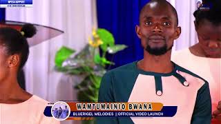 Bluerigelperforming Wamtumainio Live