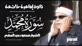 • تلاوة إذاعية خاشعة 💎 الشيخ محمود عبد الحكم - سورة محمد (07-36) | 07-07-2026م 🤍