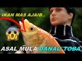 🔴Asal mula DANAU TOBA || Pak Toba dan Ikan Mas AJAIB 🔴Drama dongeng anak boneka BARBIE