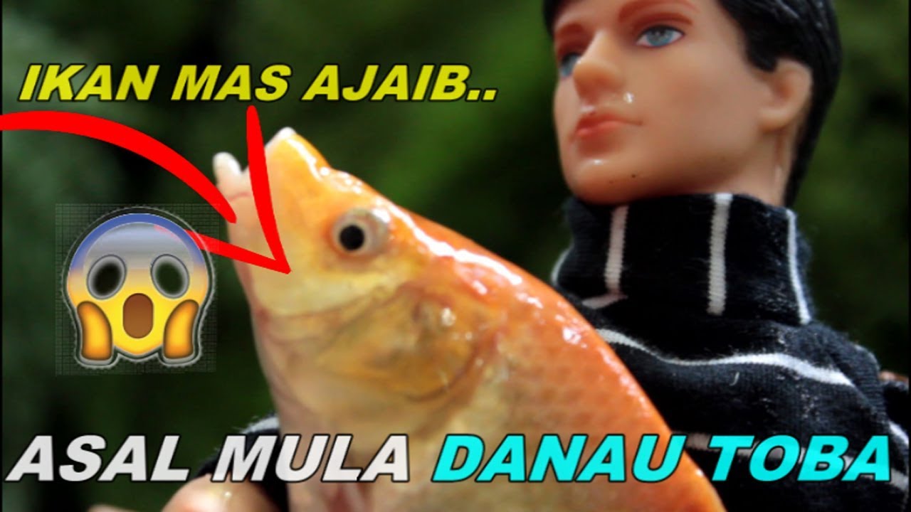 Asal mula DANAU TOBA Pak Toba dan Ikan  Mas  AJAIB  Drama 