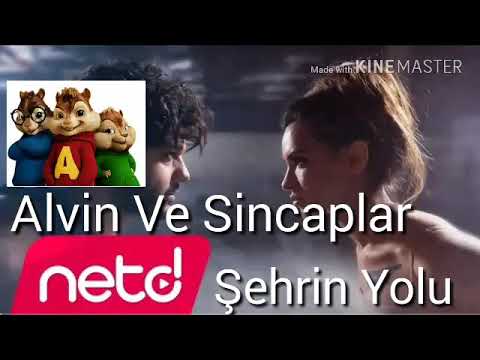 Alvin ve Sincaplar - Feride Hilal Akın _ Şehrin Yolu