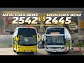 MEMPERTEMUKAN DUA BUS MEWAH MERCEDES BENZ ‼️King Ichsan Luxury Bus &amp; MIYOR Duta Agam