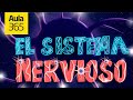 El Sistema Nervioso | Videos Educativos Aula365