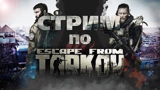 Tarkov Group Finder Discord Channel Off Topic Escape From Tarkov Forum