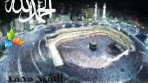 سورة الفاتحة، الشيخ محمد المحيسني