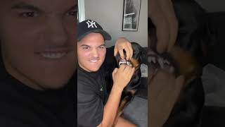 Canelo Ist Ein Feini