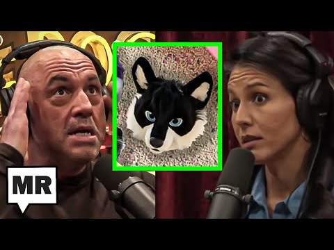 Rogan And Tulsi Push Right-Wing’s Furry Elementary School Hoax