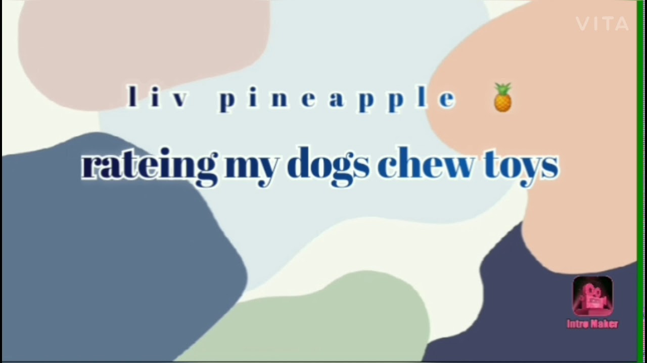 rateing my dogs toys 🧸 YouTube