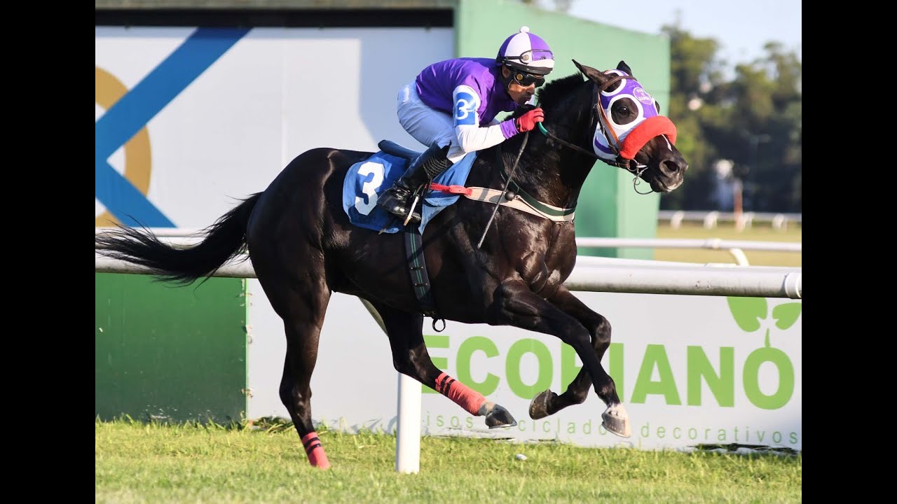 Clásico Invasor (G3) 2025 - Colifato Novo (Lenovo)