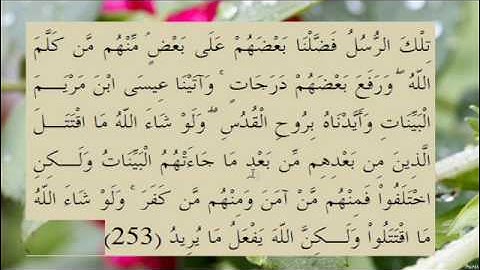 القران الكريم سورة البقرة الاية 253
