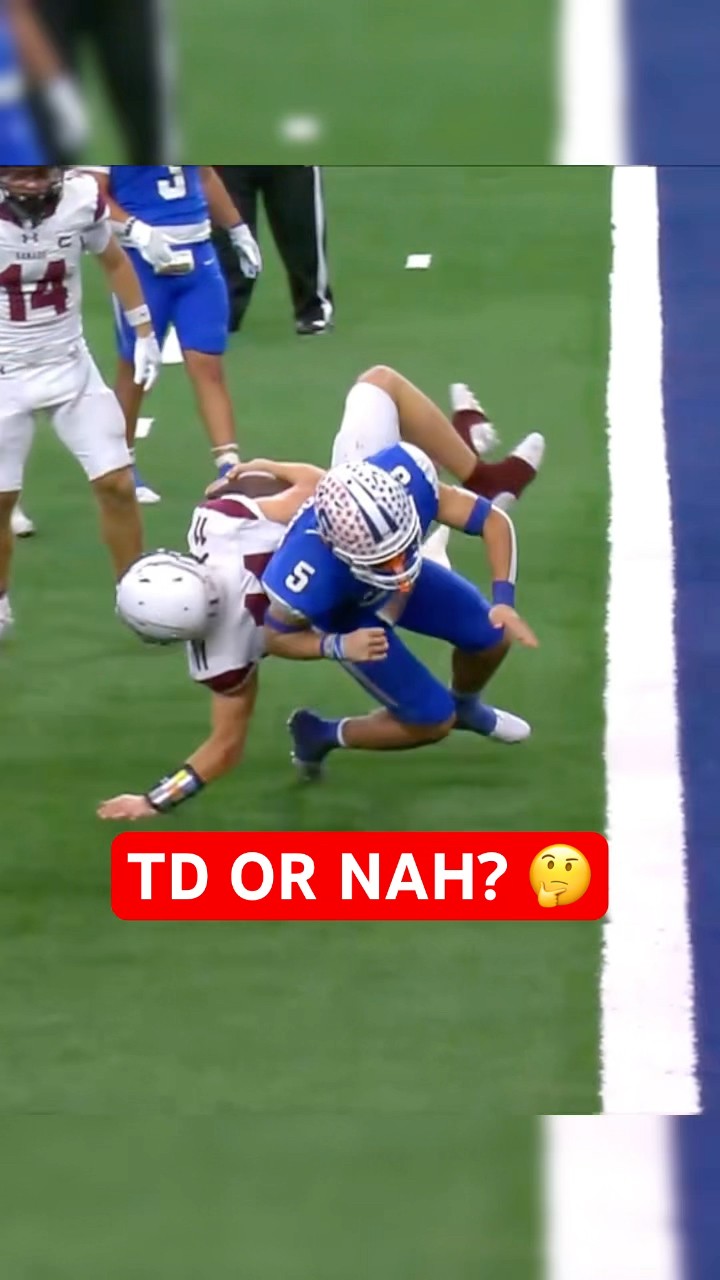 This TD was overturned. Thoughts? ? #shorts
