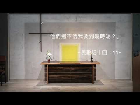 司布真 每日靈修：民數記十四：11