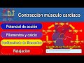 Músculo cardiaco: contracción